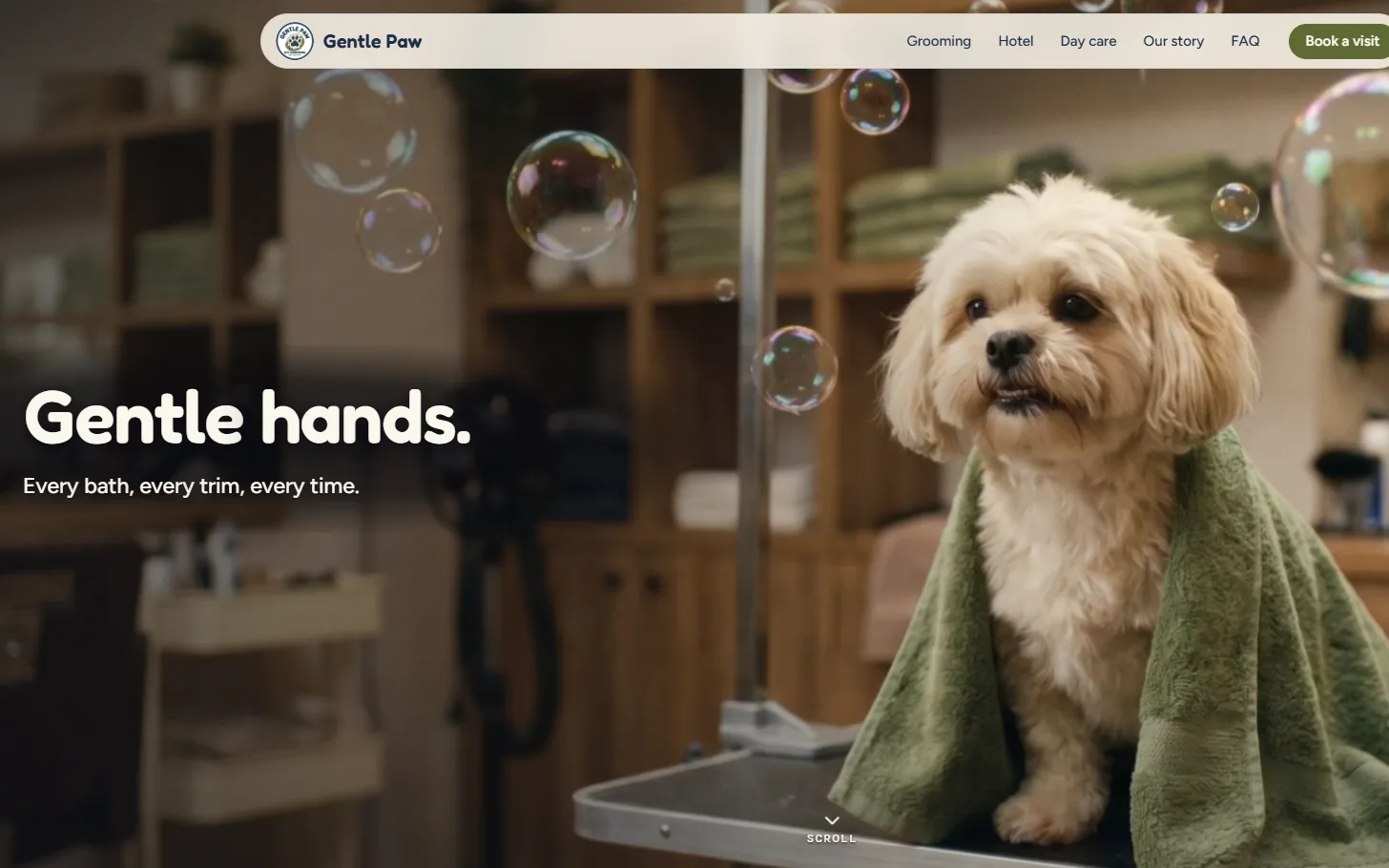 Gentle Paw pet grooming website: Gentle hands